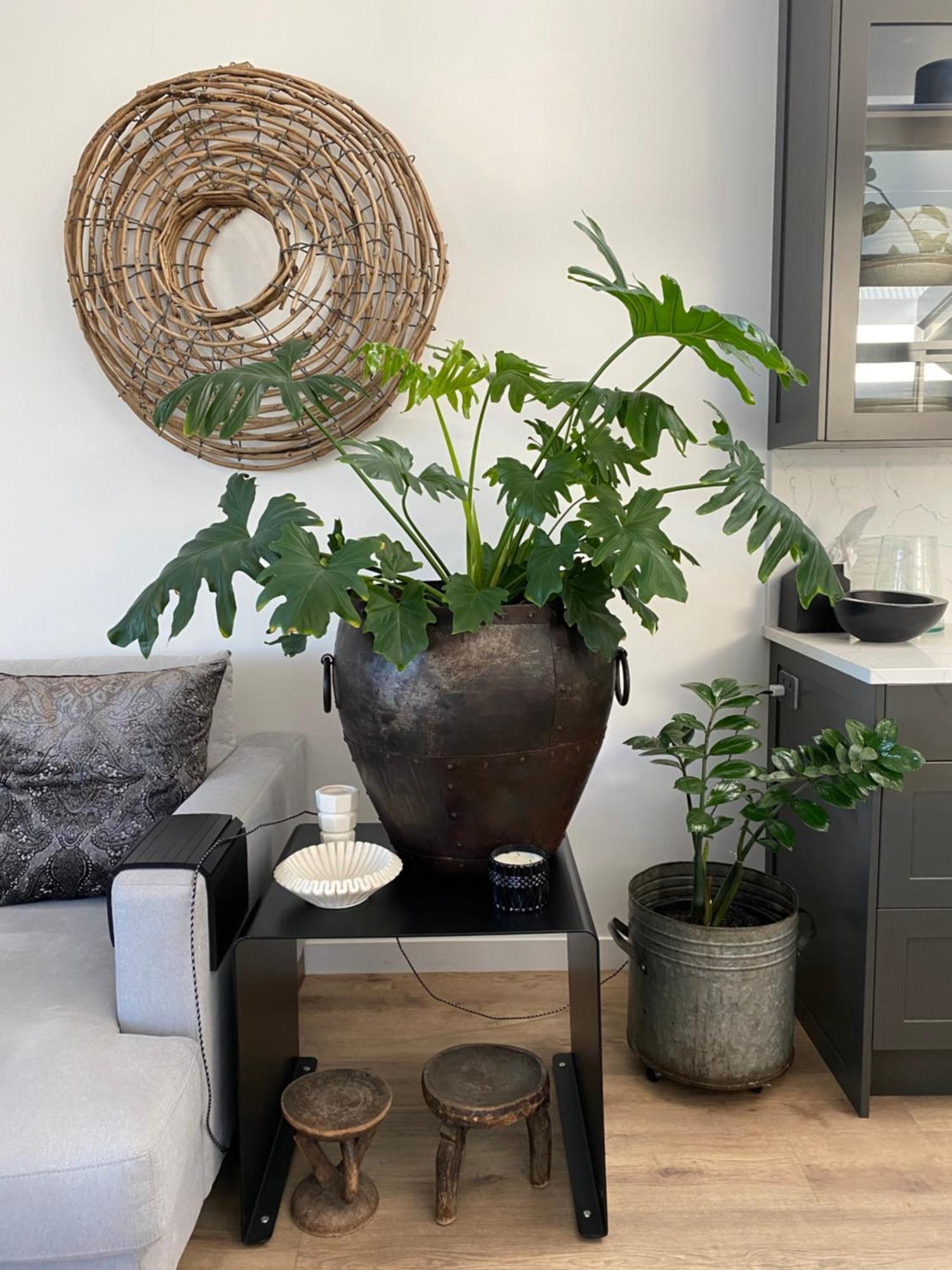 Napier Apartment Ahuriri 外观 照片